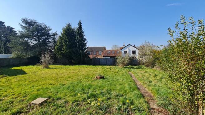 Garden 3