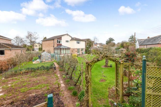 Vegetable Patch
