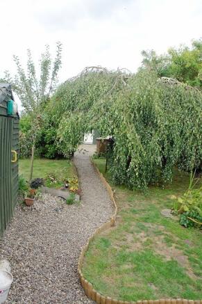 Picture 19