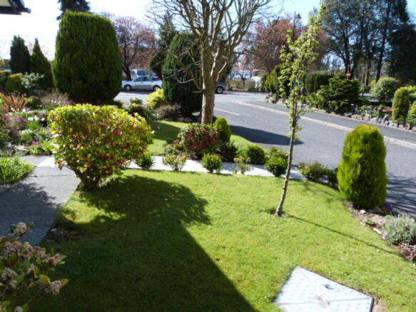 Photo 11