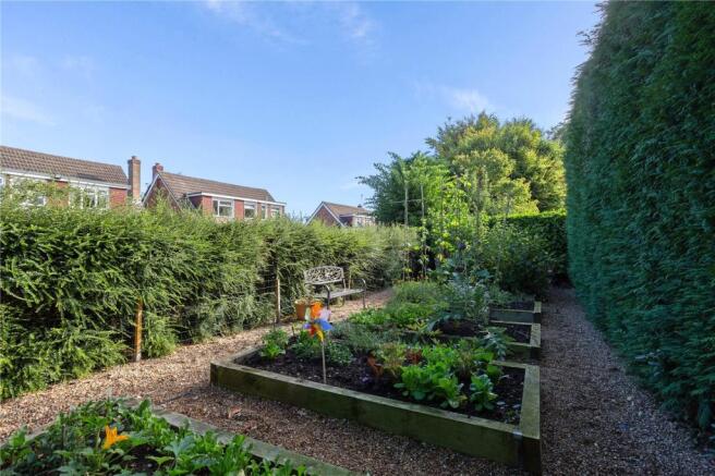 Vegetable Patch