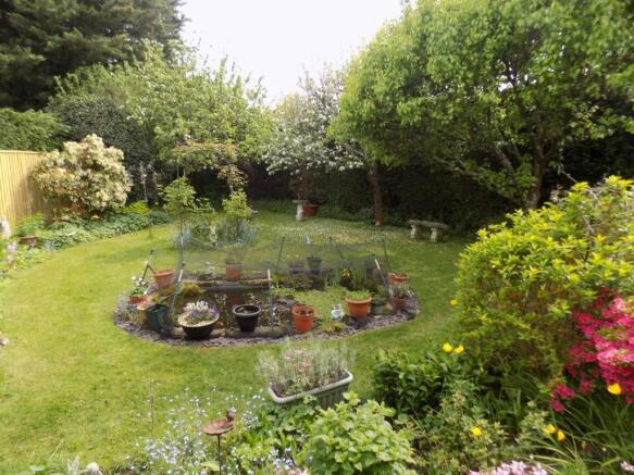 Photo 15