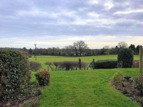 Garden and view