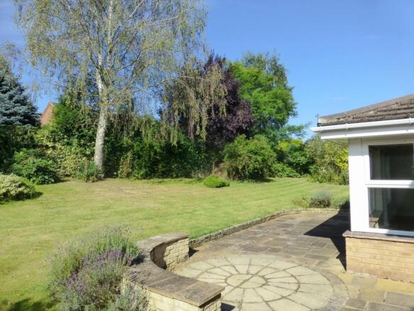 Photo 15