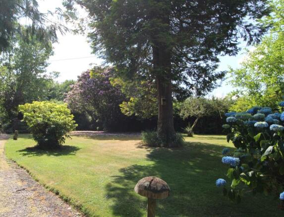 Photo 15