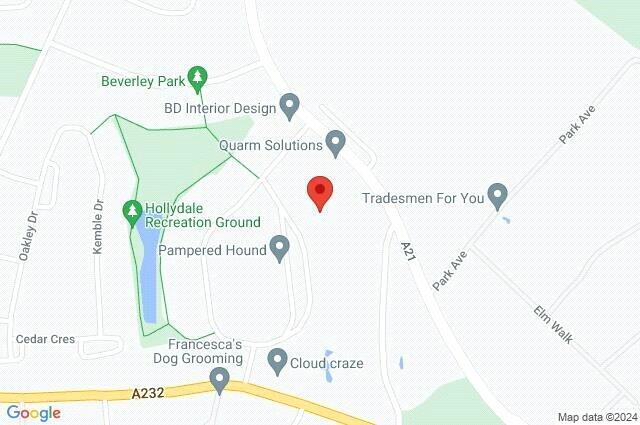 Google Maps Image