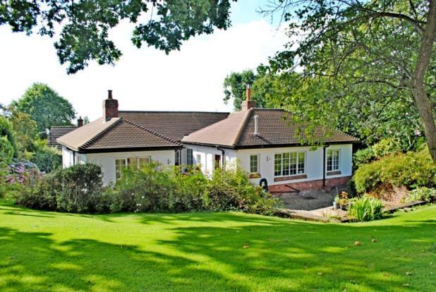 Rear Garden 2