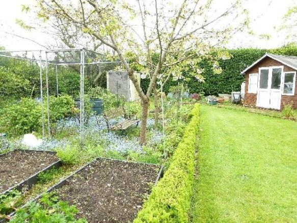 Garden 3