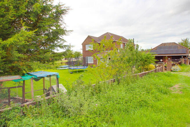 Photo 24