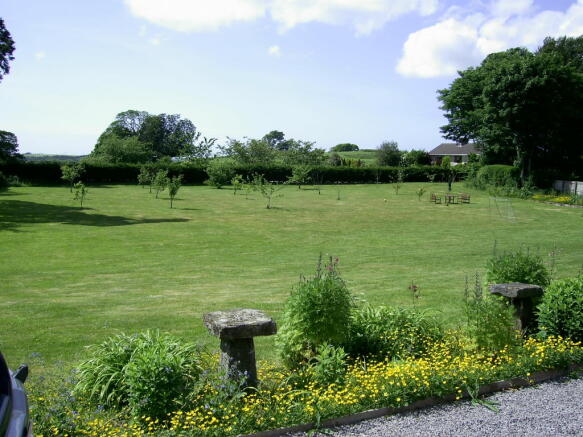 Photo 8