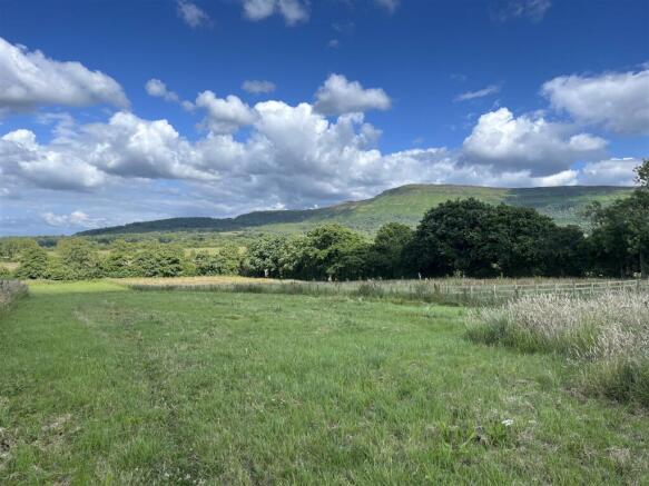 Paddock and View