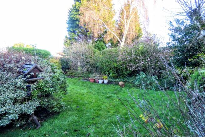 Garden 3