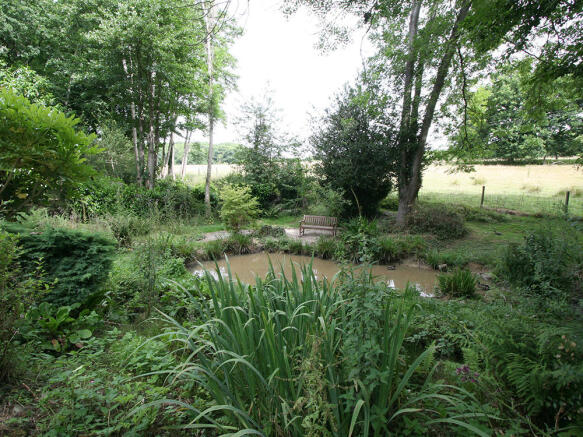 Pond 5