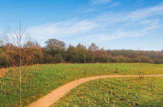 COUNTRYSIDE OU...