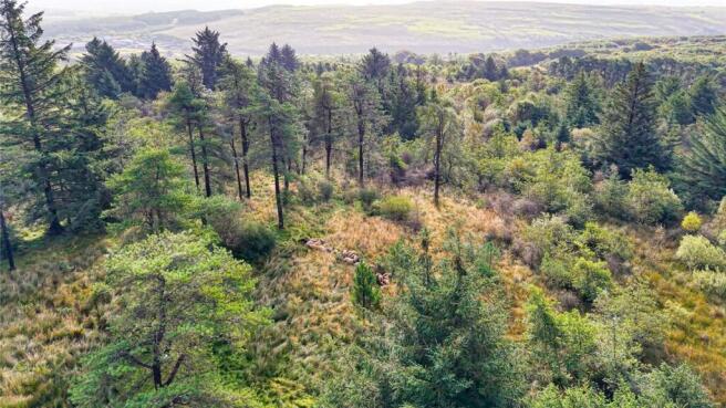 Drone Photograph