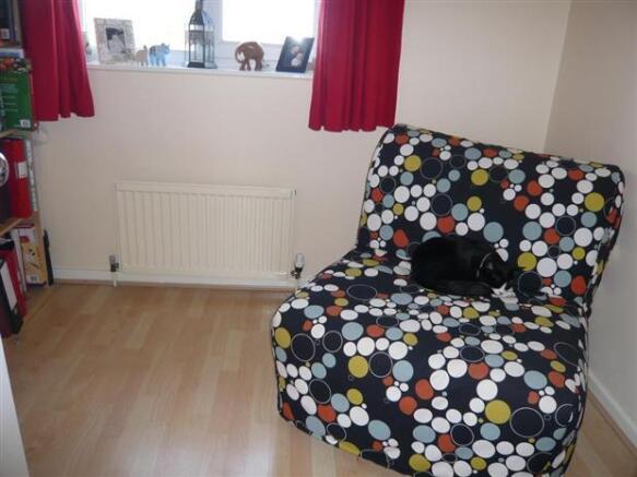 Photo 11