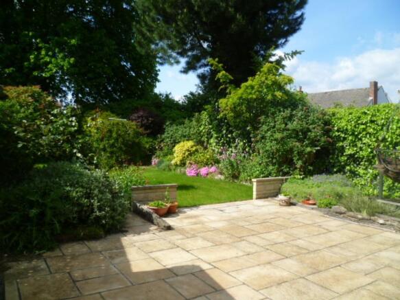 Image 17