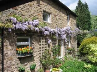 Summer House