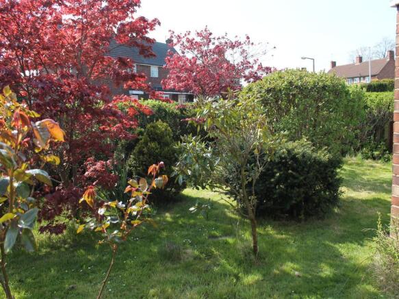 Image 12