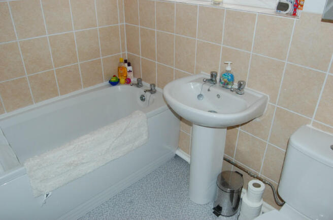 Picture 8