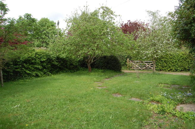 Photo 14