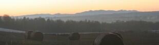Field -- View