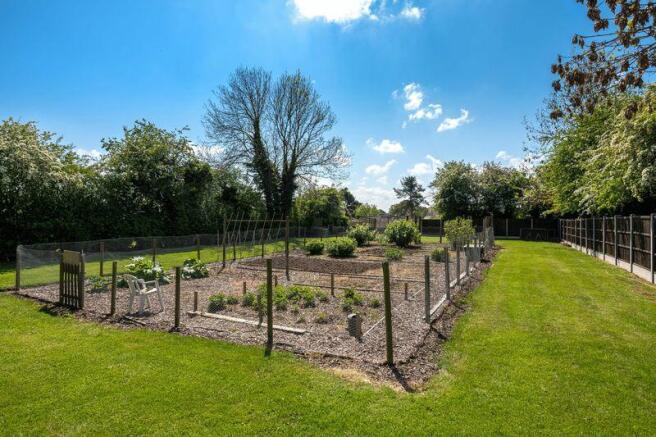 Vegetable Garden 