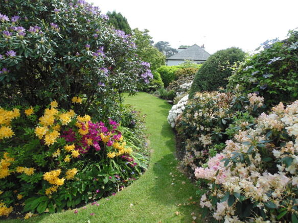 Photo 16