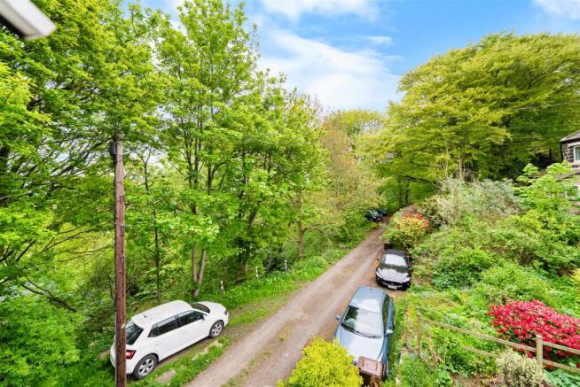 Tree Lined Road To The Front
