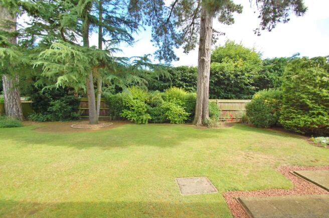 Back Garden
