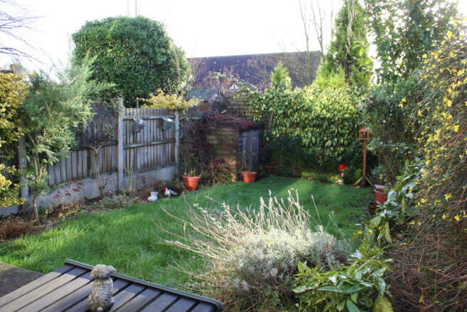 Photo 8