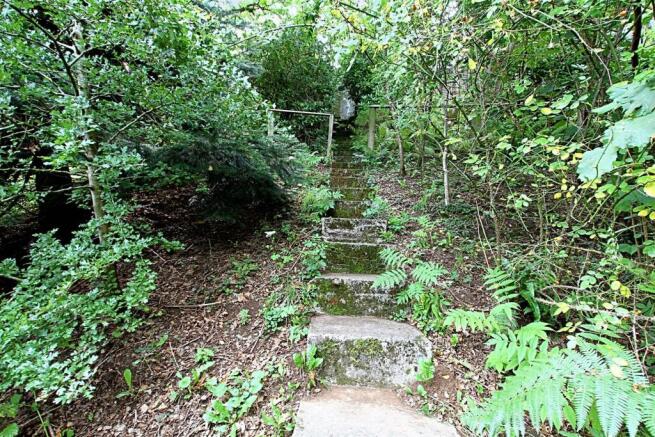 Woodland and gardens