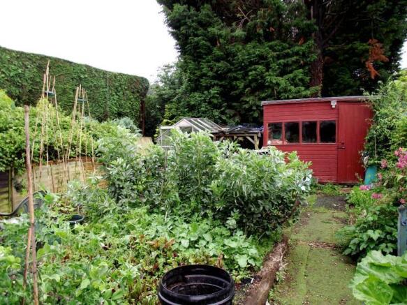 Vegetable/Fruit Garden