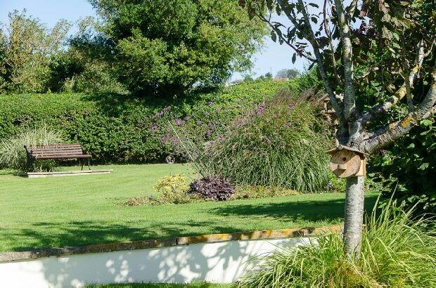 Rear Gardens Pic 4