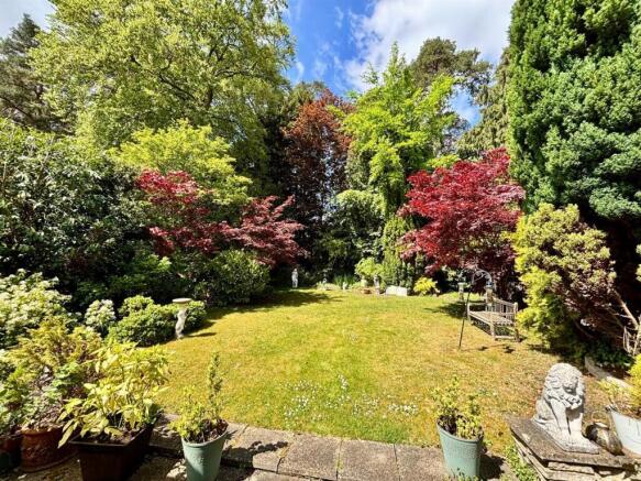 Garden.jpeg