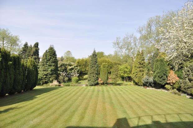 Grounds