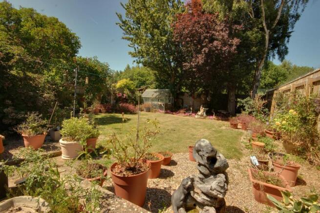 Garden at Back