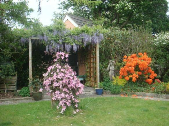 Summer garden