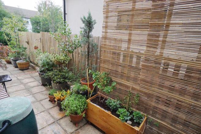 SIDE GARDEN AREA