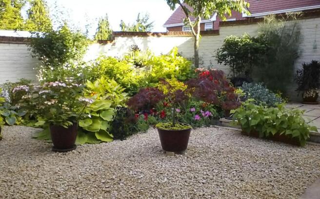 Garden in the Summer