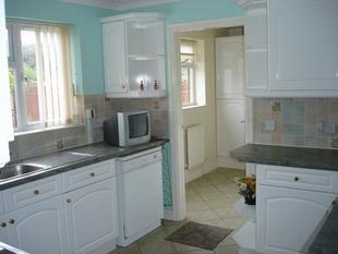 Kitchen Pic 2