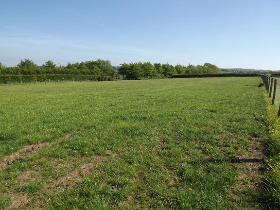 Field