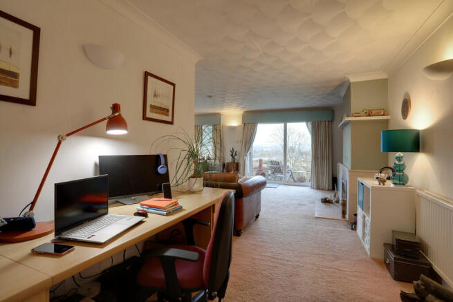 Study Area