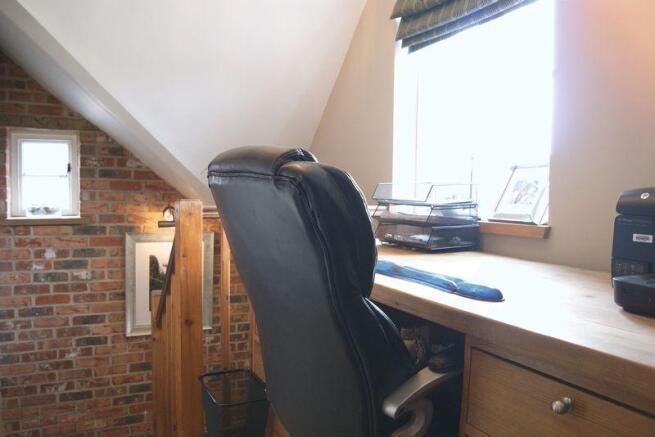 Study Area
