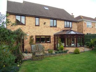 Rear of Property