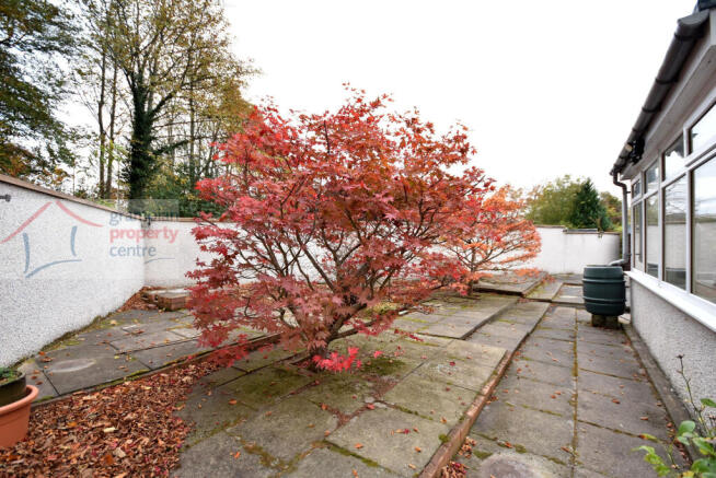 garden 2 .JPG