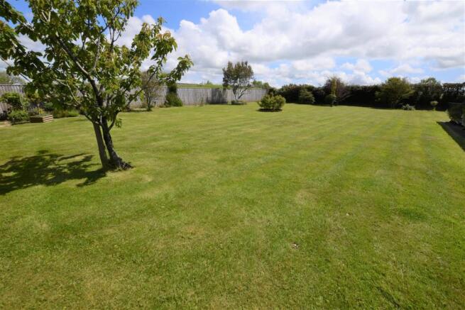 garden 2.jpg