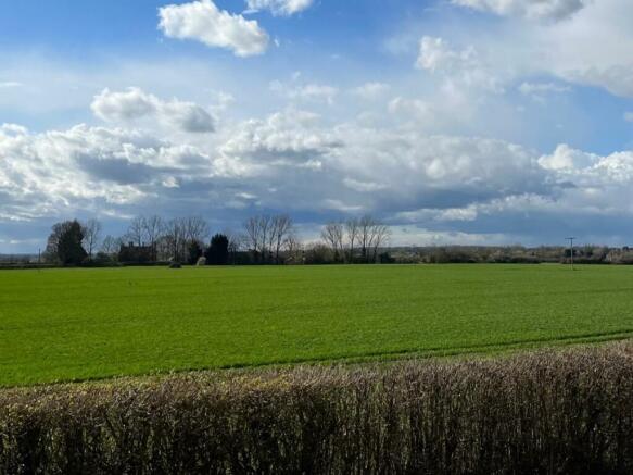 The Surrounding Area