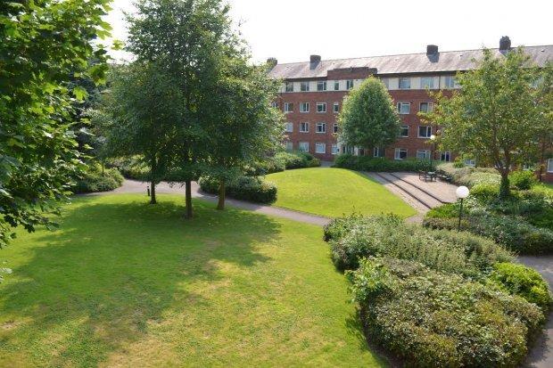 Communal Garden...