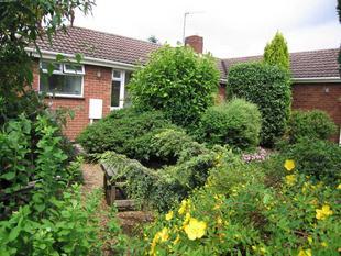 Front Garden 2